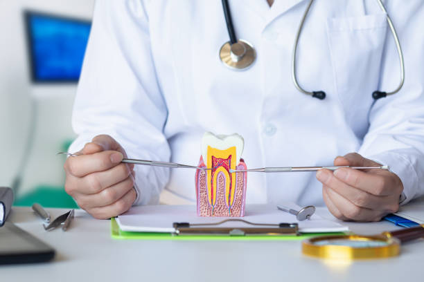 Best Emergency Treatment for Oral Infections in Argos, IN